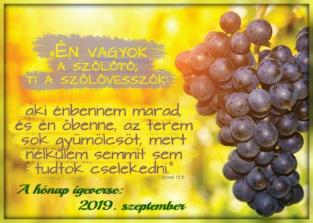 2019 - SZEPTEMBER HÓNAP IGEVERSE